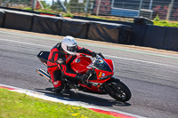 Middle Group Red Bikes